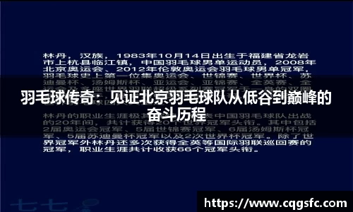 羽毛球传奇：见证北京羽毛球队从低谷到巅峰的奋斗历程